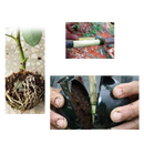 Conjunto de 3 caixas de plantas pretas para jardinagem e estratificação do ar, da marca Deeptech, com detalhes visíveis.