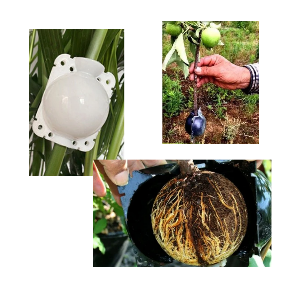 Conjunto de 3 caixas de jardinagem Deeptech pretas para estratificação de plantas, com dimensões de 5 cm, ideal para cultivo.