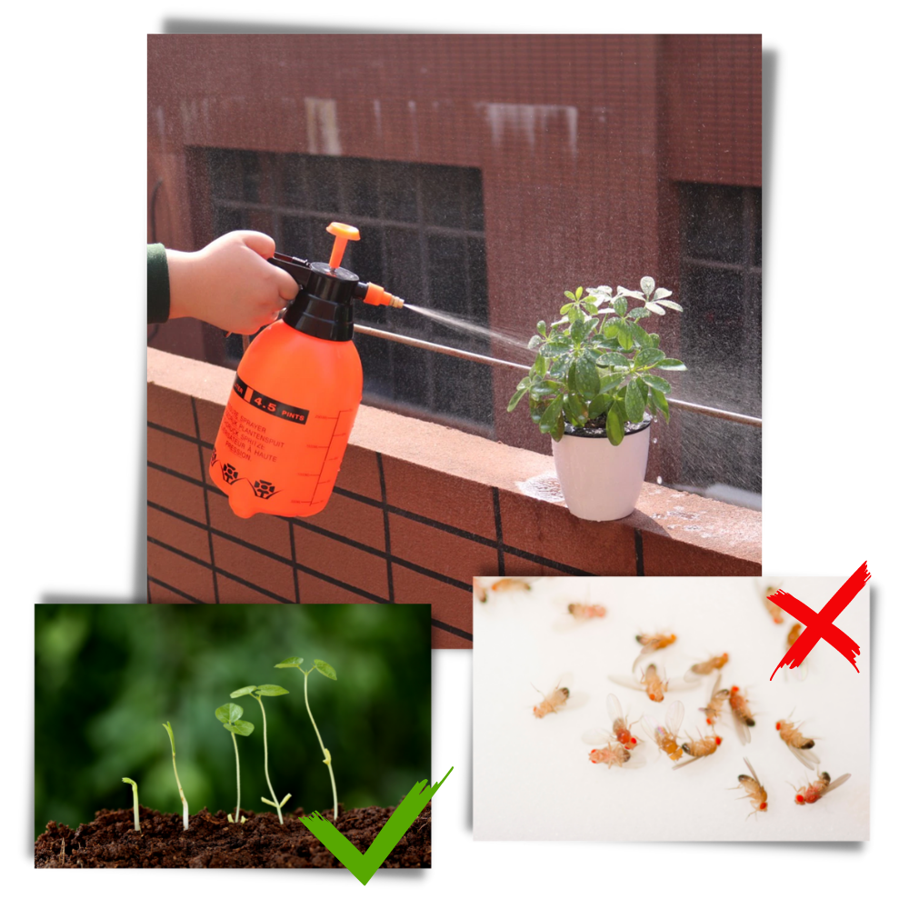 Pulvérizador de jardim a bomba Dido com capacidade de 2L, ferramenta de jardinagem para aplicação de líquidos.
