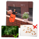 Pulvérizador de jardim a bomba Dido com capacidade de 2L, ferramenta de jardinagem para aplicação de líquidos.