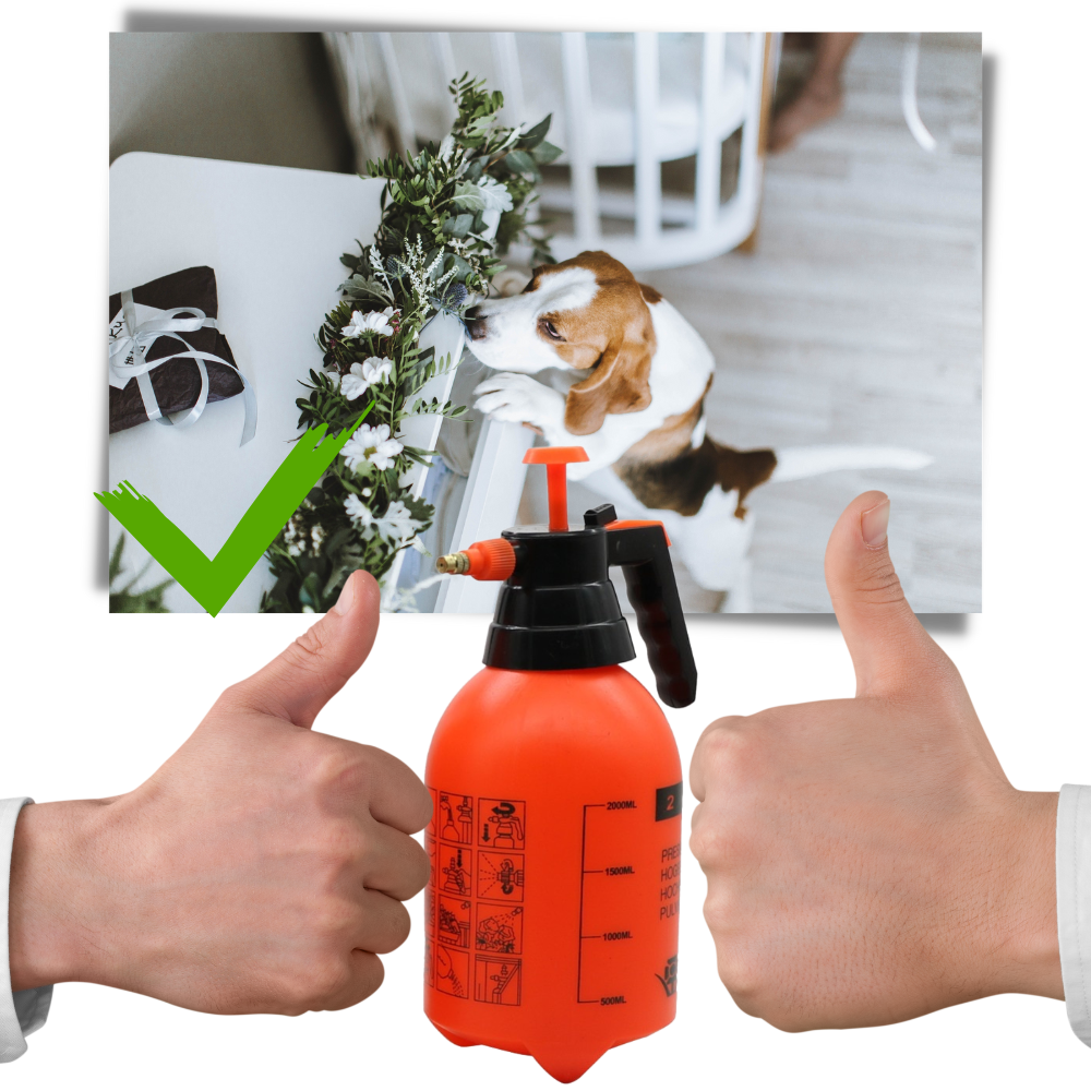 Pulvérizador de jardim Dido de 2L com bomba, ideal para jardinagem, mostrado em uso ao ar livre com plantas.