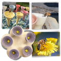 Abridor de abelhas com acabamento em esmalte UV reativo, parte de cabana para pássaros e animais selvagens, marca Wioihee.