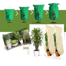 Couvre-plantes isolantes Dodocool para jardinagem, proteção contra o gelo, tecido branco 60x80cm.