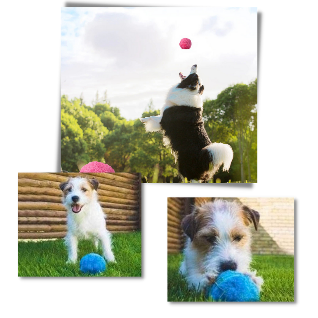 Balle rotativa automática para cães da Eastjing com quatro capas, brinquedo interativo para cães.