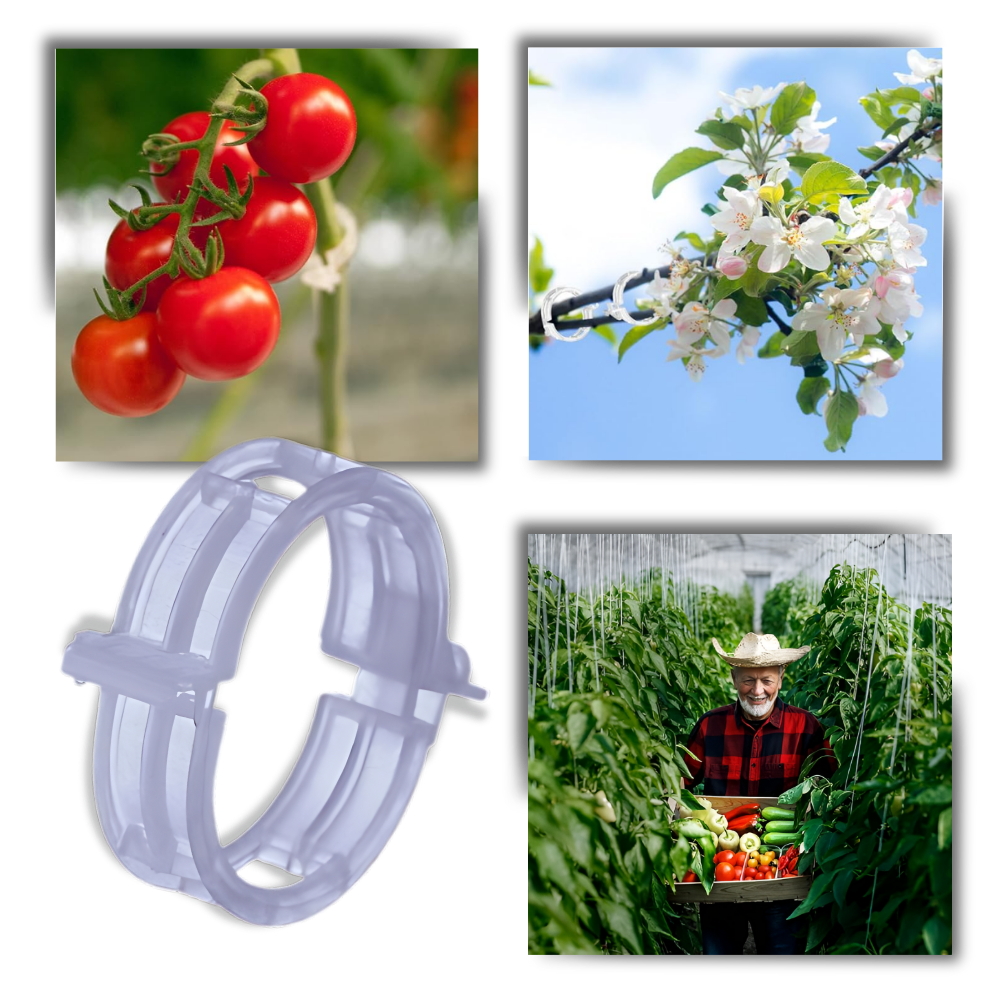 Suporte de plantas Eastjing para jardinagem, fácil de clipar, pacote com 50 unidades, ideal para suporte de vasos e plantas.