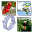 Suporte de plantas Eastjing para jardinagem, fácil de clipar, pacote com 50 unidades, ideal para suporte de vasos e plantas.