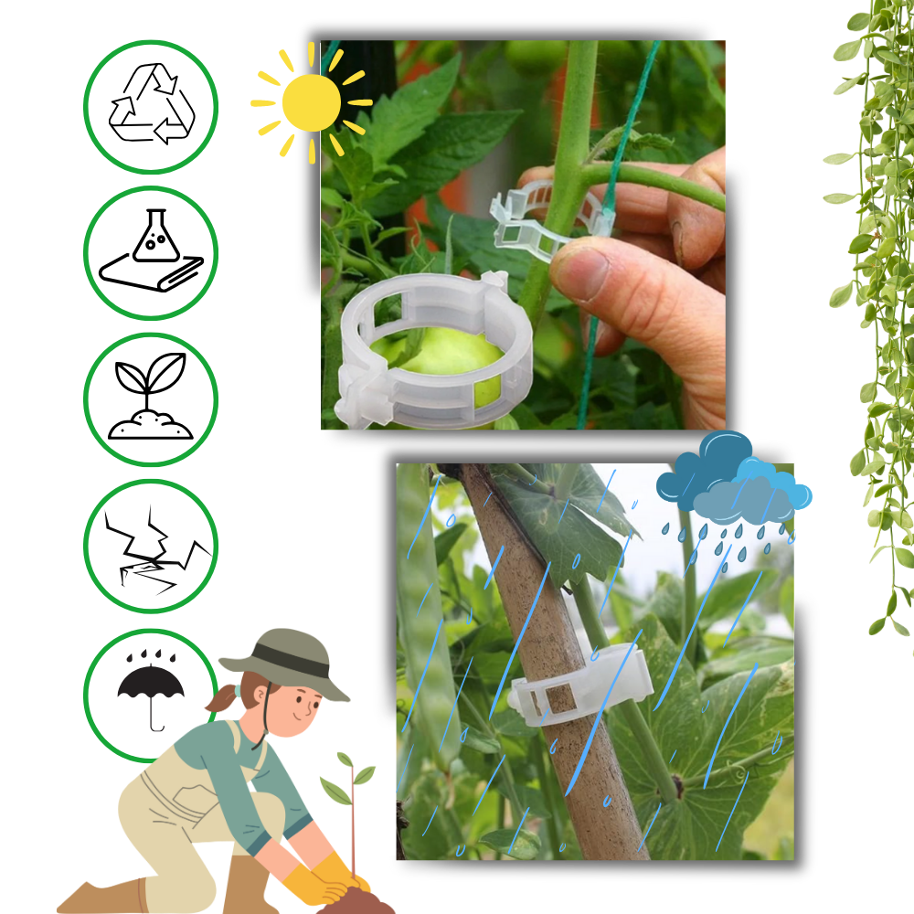 Suporte de plantas Eastjing para jardinagem, 50 peças, fácil de clipar, ideal para apoiar e organizar plantas no jardim.