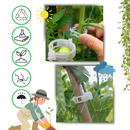 Suporte de plantas Eastjing para jardinagem, 50 peças, fácil de clipar, ideal para apoiar e organizar plantas no jardim.