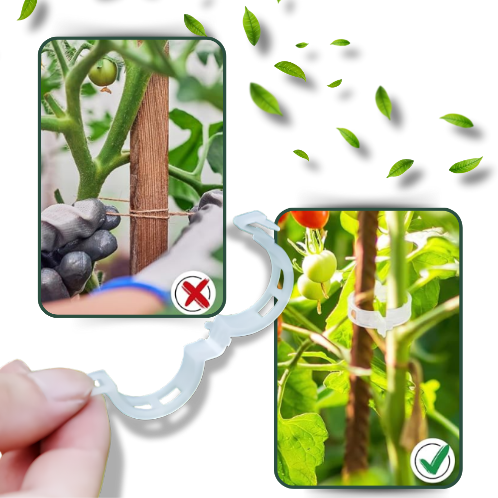 Suporte de plantas Eastjing para jardinagem, fácil de clipar, pacote com 50 unidades para suporte de plantas.