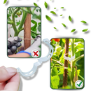 Suporte de plantas Eastjing para jardinagem, fácil de clipar, pacote com 50 unidades para suporte de plantas.