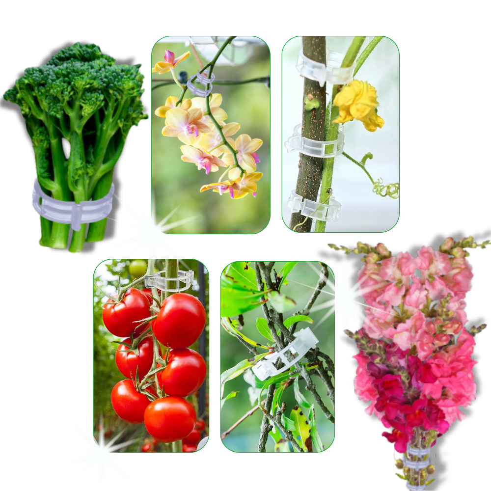 Suporte de plantas Eastjing para jardinagem, fácil de clipar, pacote com 50 unidades, ideal para apoiar plantas no jardim