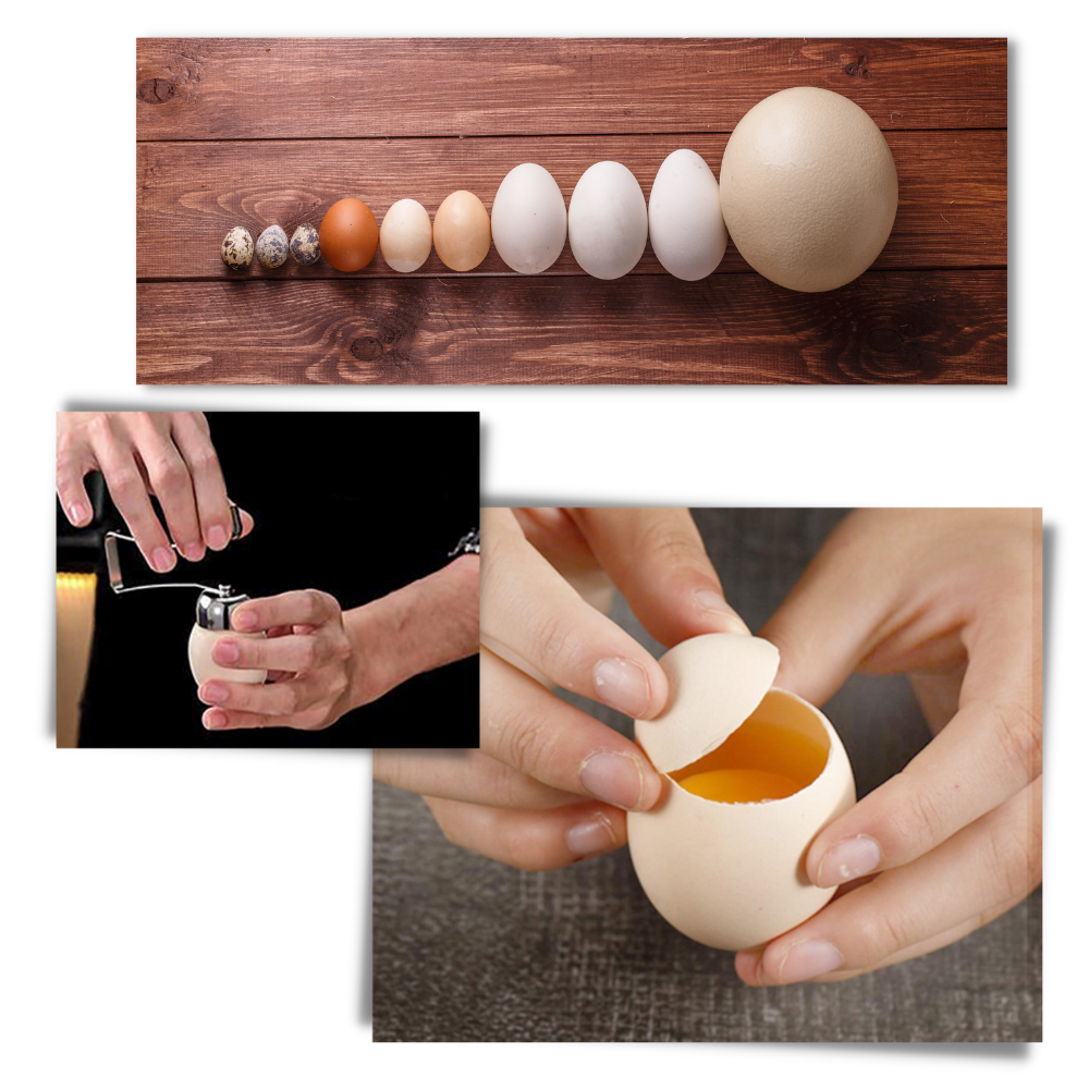 Ouvre coquilles de ovos da marca Eastjing, utensílio de cozinha para abrir cascas de ovos facilmente.