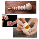 Ouvre coquilles de ovos da marca Eastjing, utensílio de cozinha para abrir cascas de ovos facilmente.