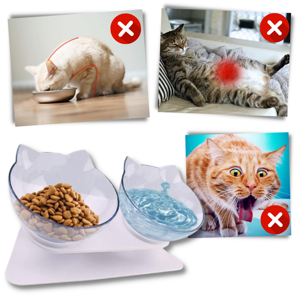 Tigela elevada para gatos da Yugaoo, com design ergonômico para maior conforto durante a alimentação.