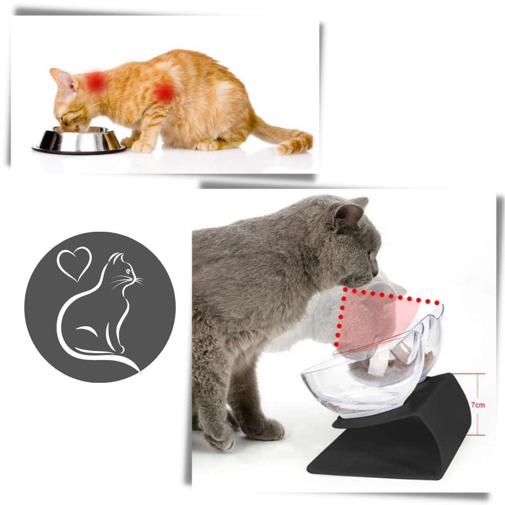 Tigela elevada de conforto para gatos da marca Yugaoo, com design ergonômico e suporte para alimentação confortável.
