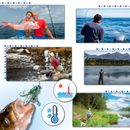 Appâts realistas para pesca com mosca, marca Enjoysea, de cor verde e tamanho de 0,8 cm, ideal para pescadores.