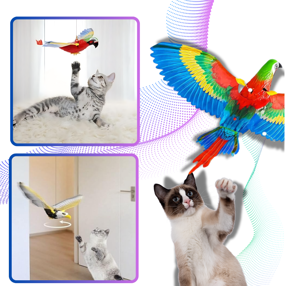 Brinquedo de pássaro voador para gatos, acessório suspenso da marca Figard, com penas coloridas e design atraente para gatos.