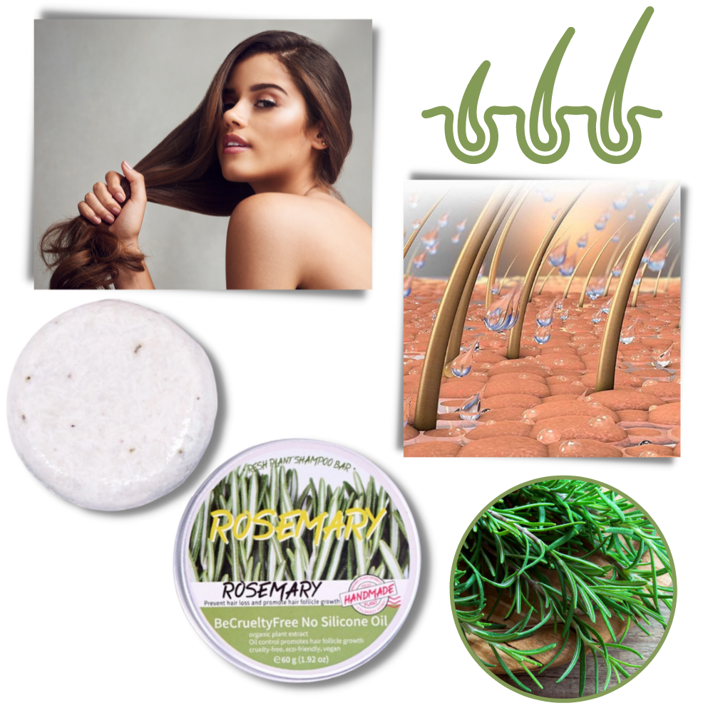 Shampoing ao alecrim Fly Sunton para cuidados capilares, frasco com líquido verde e rótulo na embalagem.