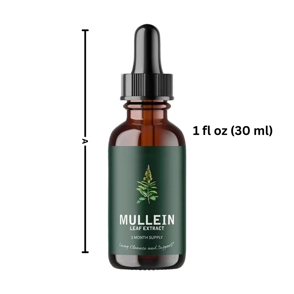 Infusão de Molène sem glúten para saúde pulmonar, produto de cuidados respiratórios da marca Nature's Answer, em embalagem verde.