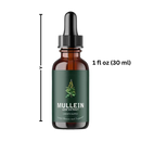 Infusão de Molène sem glúten para saúde pulmonar, produto de cuidados respiratórios da marca Nature's Answer, em embalagem verde.