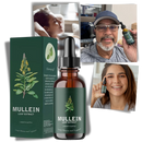 Infusão de Molène sem glúten da Nature's Answer para cuidados respiratórios e saúde pulmonar, com folhas de molène secas.