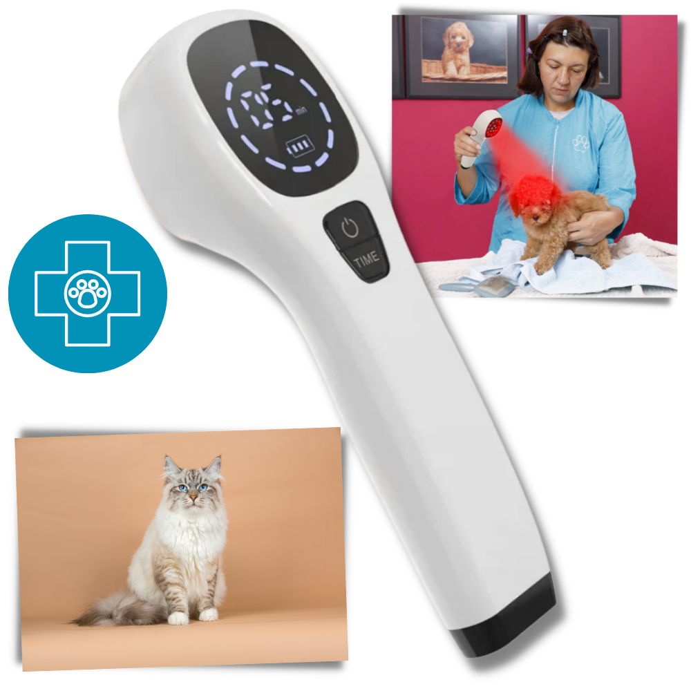 Dispositivo portátil de terapia por infravermelho para animais de estimação Kts, usado para promover a cura e o bem-estar de pets.