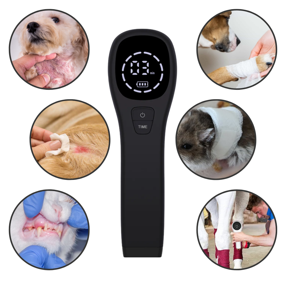 Dispositivo portátil de terapia por infravermelho da Kts para animais de estimação, usado para aliviar dores e melhorar a saúde dos pets.