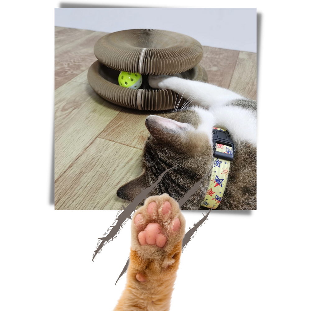 Arranhador para gatos Hirigin, acessório de madeira com superfície para arranhar e diversão para felinos.