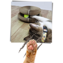Arranhador para gatos Hirigin, acessório de madeira com superfície para arranhar e diversão para felinos.