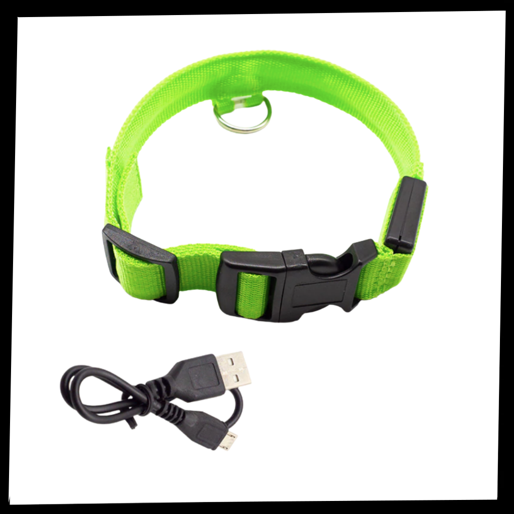 Collier lumineux pour animaux de compagnie Hqzy, rechargeable par USB, en vert, taille XS, avec bande réfléchissante.