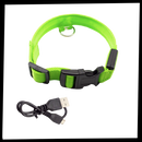 Collier lumineux pour animaux de compagnie Hqzy, rechargeable par USB, en vert, taille XS, avec bande réfléchissante.