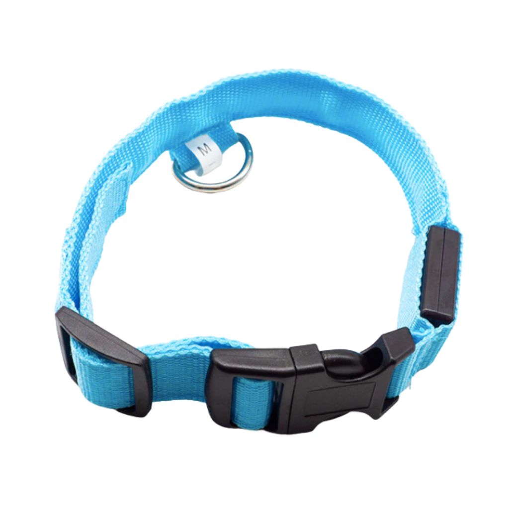 Collier lumineux pour animaux de compagnie Hqzy, rechargeable USB, vert, taille XS, avec bande LED visible sur le collier.