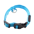 Collier lumineux pour animaux de compagnie Hqzy, rechargeable USB, vert, taille XS, avec bande LED visible sur le collier.