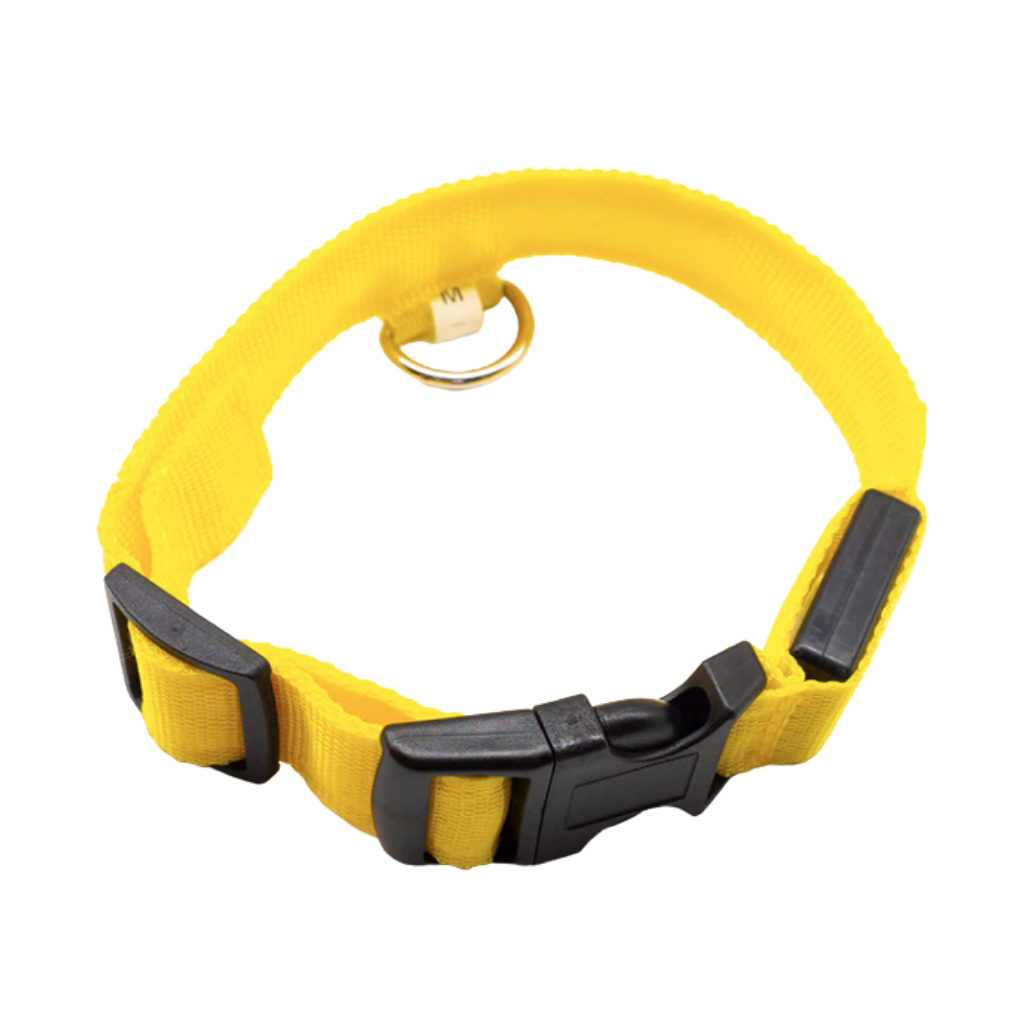 Collier lumineux pour animaux de compagnie Hqzy, rechargeable USB, vert, taille XS, conçu pour la sécurité et la visibilité.