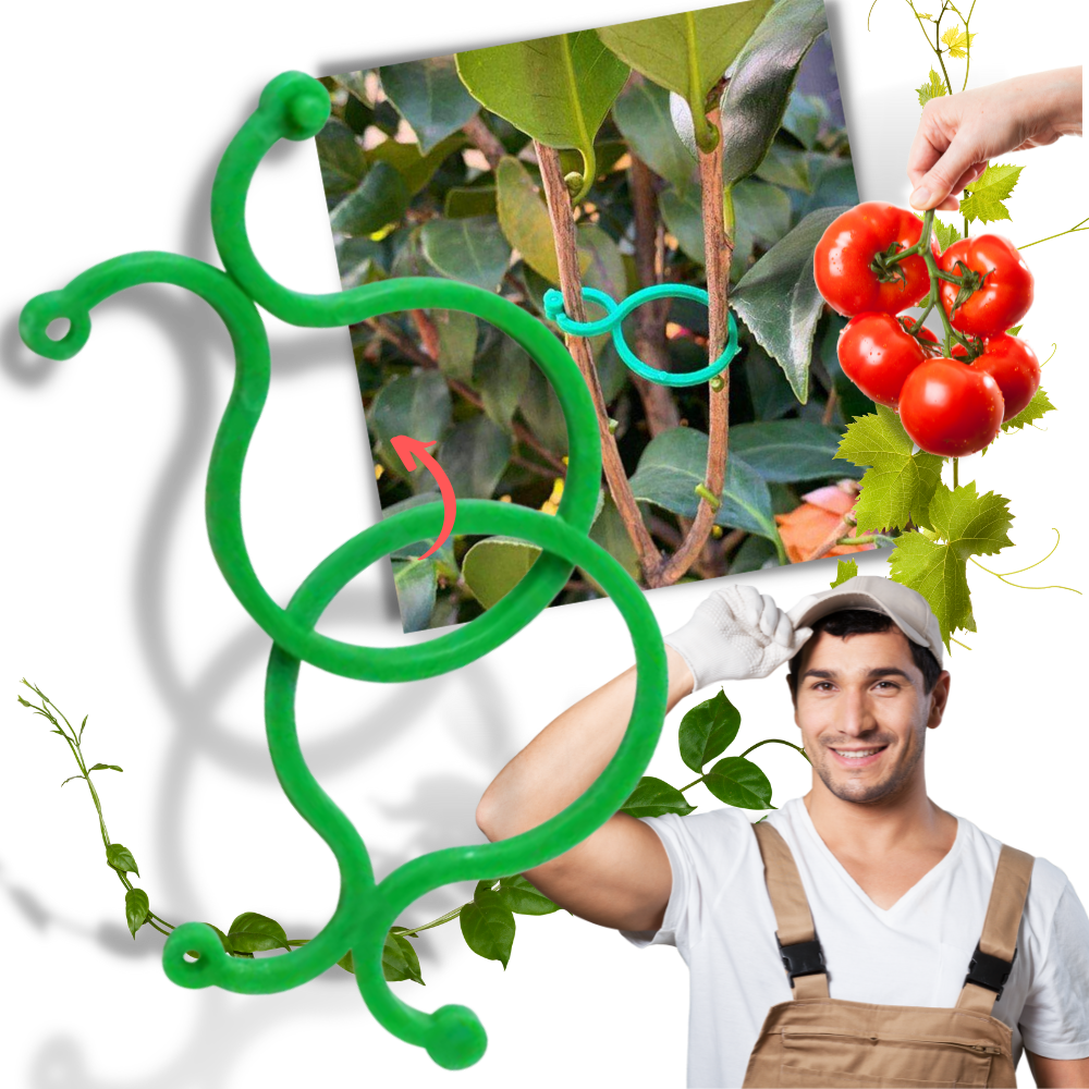Conjunto de 50 ganchos para plantas de jardim Jinsenhg, suporte de plástico para fixar plantas e hortaliças ao redor do jardim.