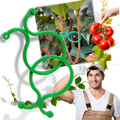 Conjunto de 50 ganchos para plantas de jardim Jinsenhg, suporte de plástico para fixar plantas e hortaliças ao redor do jardim.
