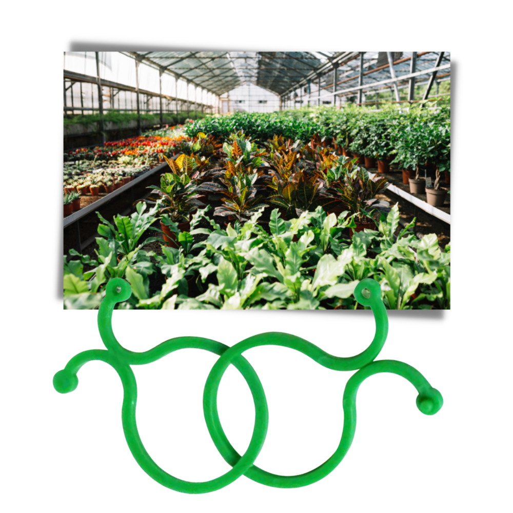 Conjunto de 50 ganchos de jardim Jinsenhg para suporte de plantas, pequenos e resistentes, ideal para jardinagem ao ar livre.