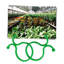 Conjunto de 50 ganchos de jardim Jinsenhg para suporte de plantas, pequenos e resistentes, ideal para jardinagem ao ar livre.