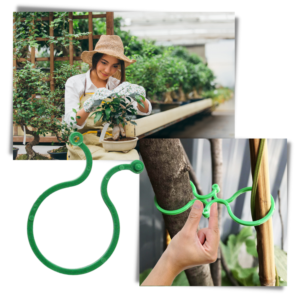 Conjunto de 50 presilhas de jardim Jinsenhg para plantas, feitas de plástico, ideal para suporte e organização de plantas no jardim