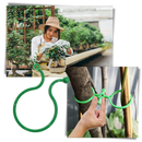 Conjunto de 50 presilhas de jardim Jinsenhg para plantas, feitas de plástico, ideal para suporte e organização de plantas no jardim