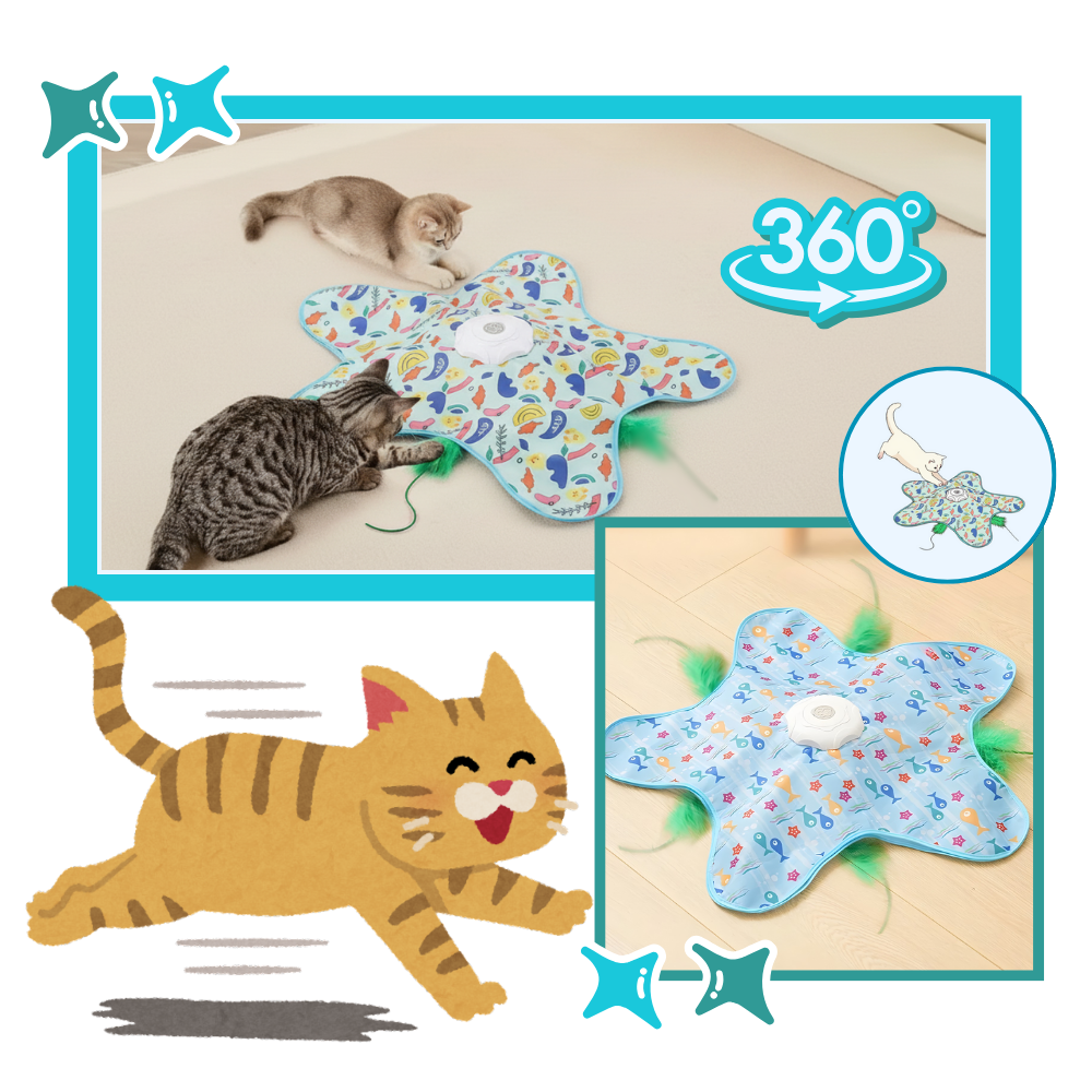 Brinquedo de tapete interativo com penas para gatinhos em fase de dentição, acessório para gatos da marca Favson