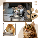 Fonte para gatos da Houkiper com grande capacidade, fornecendo água fresca e abundante para o conforto do seu felino.
