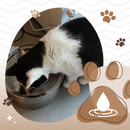 Fonte de água para gatos da Houkiper com grande capacidade, promovendo hidratação adequada para seu gato.