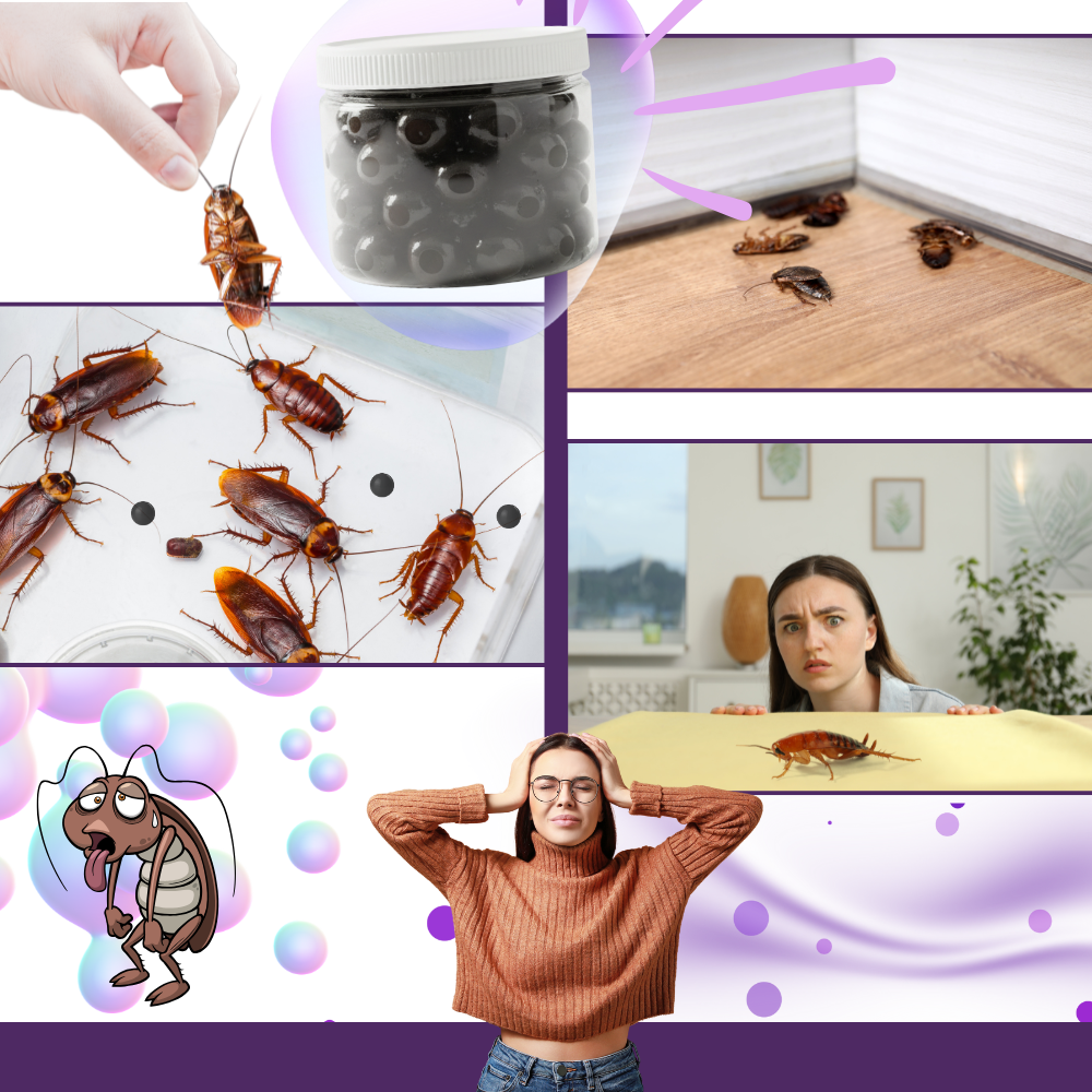 Contas antialgas com extrato de lavanda da Rubyca, usadas para controle de baratas, com bolas de lavanda em ambiente tranquilo.
