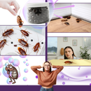 Contas antialgas com extrato de lavanda da Rubyca, usadas para controle de baratas, com bolas de lavanda em ambiente tranquilo.
