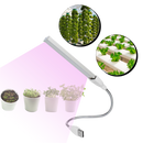 Kit de plantio Luxtrada com lâmpada LED USB para cultivo de plantas, iluminação de crescimento para jardinagem interna.