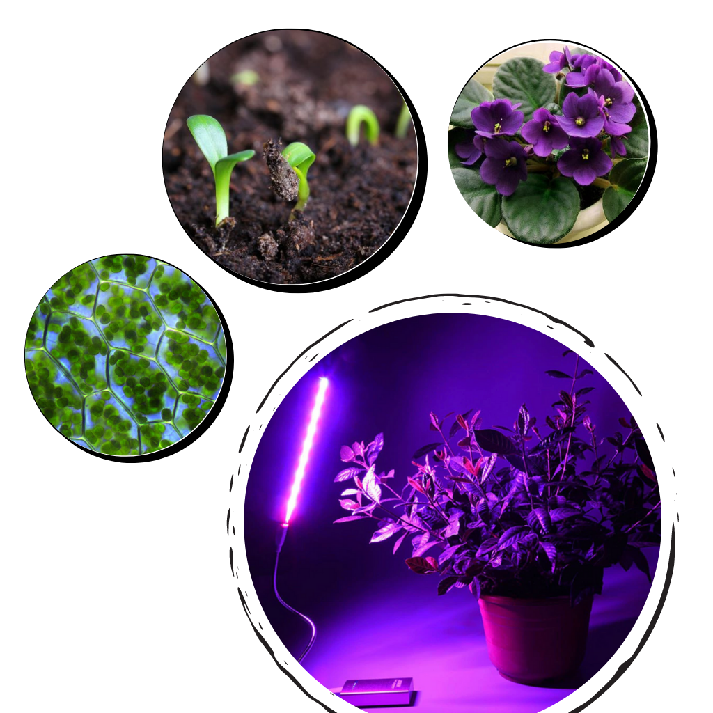 Kit de cultivo com lâmpada LED USB para plantas, marca Luxtrada, ideal para crescimento de hortas e jardinagem indoor.