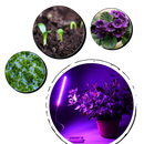 Kit de cultivo com lâmpada LED USB para plantas, marca Luxtrada, ideal para crescimento de hortas e jardinagem indoor.