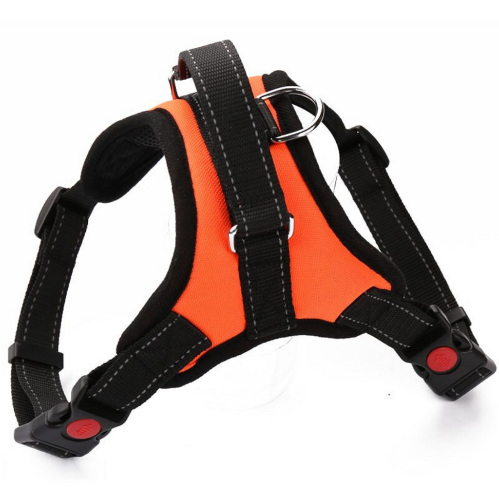 Harnais ajustável para cachorro Magicfly com faixa refletora, em tecido preto, ideal para passeio e segurança do pet.