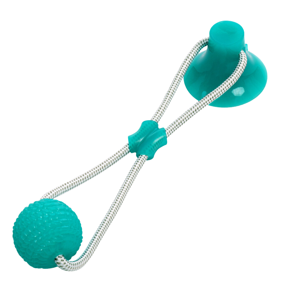 Balle com ventosa azul para cães, acessório para brinquedo, marca Manfiter, ideal para diversão e exercícios caninos